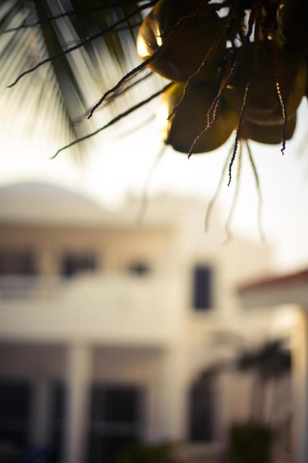Villas Flamingo Akumal Kültér fotó